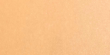519E