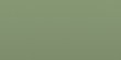 IC52105 (Green) IC52105 * IVECO