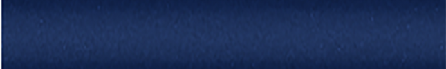 NISBX1 (Blue) BX1