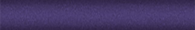 SUZZ2C (Blueberry) Z2C