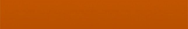 KIAN2O (Neon Orange) N20
