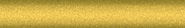FI90030 (Amarelo Exploit) 237, FISA9030