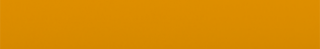 NISE10 (Fun Yellow) E10