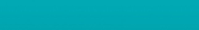 BMWP9E (Borusan Turkish Blue) YP9E, P9E