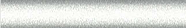 NISKBV (Silver) KBV