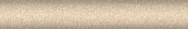 NIS9804 (Brown) 2ED