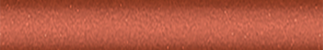 NISA11 (Orange) A11
