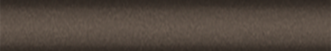 NISC17 (Deep Bronze Metallic) C17