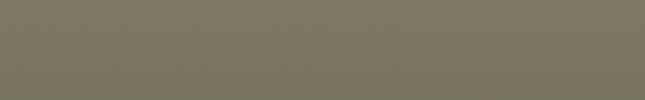 BMWP81 (Steingrau) P81, P81