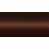 NISCS2 (Autumn Copper) CS2
