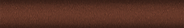 NISCS2 (Autumn Copper) CS2