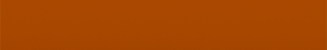 NISA16 (Orange) A16