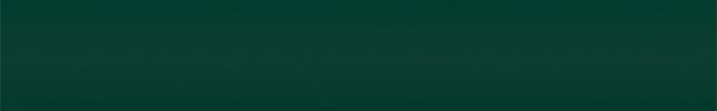 FI342:98 (Verde Muschio) 342