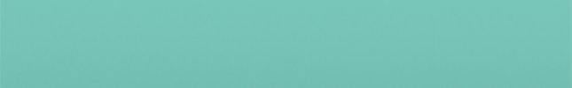 FI457:97 (Turchese Festival) 457, 457/A