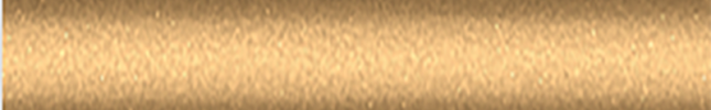 NISHAJ (Gold Beige) BHAJ, HAJ