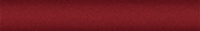 NISAW8 (Salsa) AW8
