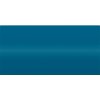 FI007 (Blu Saviem) 007