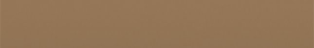 TOY5523 (Tan) 5523