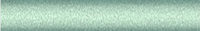 NISFV2 (Green) FV2