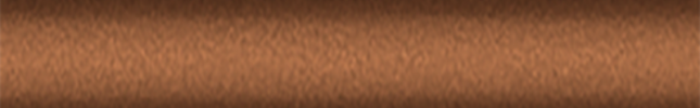 NISEAR (Orange) BEAR, EAR