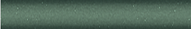 NISD10 (Green) D10