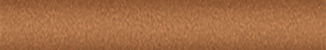 NISCT0 (Caramel Brown) CT0