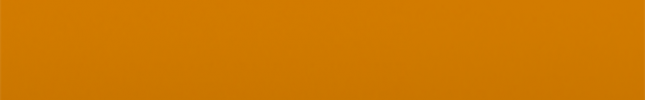 NISE11 (Yellow) E11