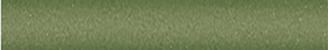 NISJ13 (Sea Grass Green) J13