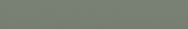 SKOT6Y (Timiano Green) L-T6Y, LT6Y, T6Y, 0B