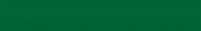 FI051 (Verde Menta) 085579, 051, ESP