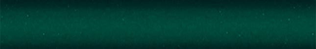 FRD90100 (Night Forest) G4, FONZ9947