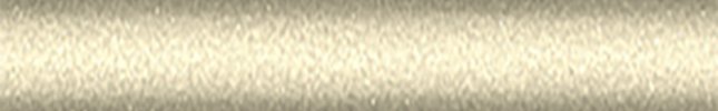 TOY583 (Champagne) 583, 9D