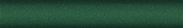 NISZ13 (Green) Z13