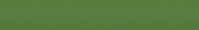 FI011 (Verde) 011
