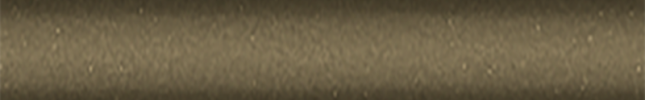 NISEV4 (Olive) EV4