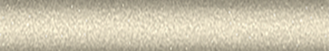 NIS9806 (Gold) 2E5