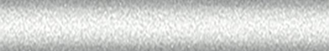 SUZZTS (Star Silver 4) ZTS