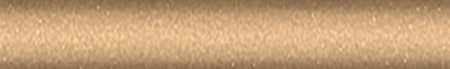NISC20 (Bronzee Gold) C20