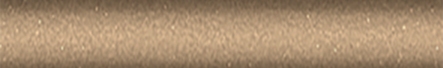 NISC32 (Bronze) C32