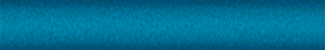 NISRPL (Blue) 498, RPL