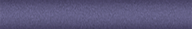 NIS9065 (Purple Delight) 796