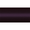 NISPG1M (Purple) PG1M