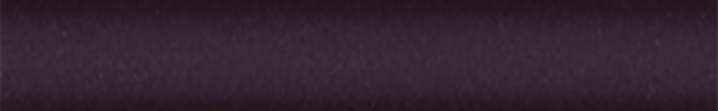 NISPG1M (Purple) PG1M