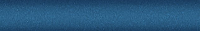 FI484:94 (Blu Regent) 484