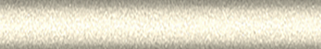 NIS696 (Topaz Gold) 696