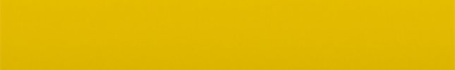 TOYSYO (Yellow) SYO