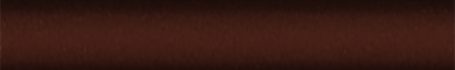 NISCNG (Tourmaline Brown) CNG