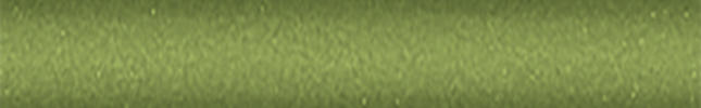 NISJ31 (Green) J31