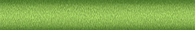 MAZ9499 (Spirited Green) 36A