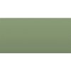 FRD6020 (Pale Green) NMS, PSTSH